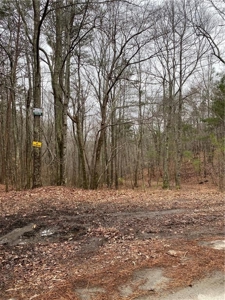 Mountain Property for Sale in Cherokee County - image 15