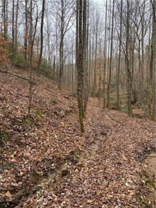 Mountain Property for Sale in Cherokee County - image 7