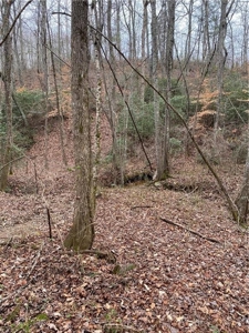 Mountain Property for Sale in Cherokee County - image 9