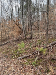 Mountain Property for Sale in Cherokee County - image 12