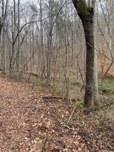 Mountain Property for Sale in Cherokee County - image 5