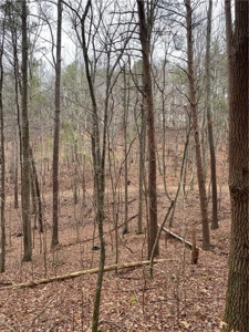 Mountain Property for Sale in Cherokee County - image 20