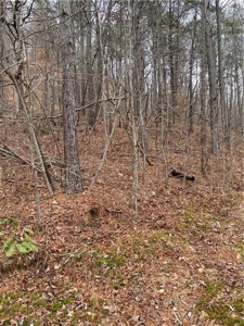 Mountain Property for Sale in Cherokee County - image 1