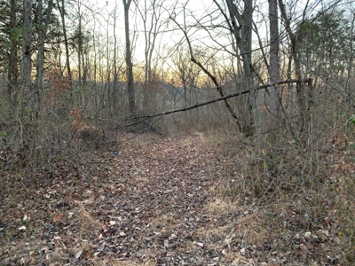Small Acreage-Hunting-Fishing-Recreational-Liberty Kentucky - image 10