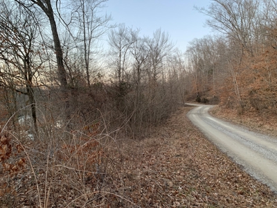Small Acreage-Hunting-Fishing-Recreational-Liberty Kentucky - image 4