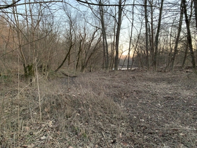 Small Acreage-Hunting-Fishing-Recreational-Liberty Kentucky - image 16