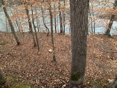 Small Acreage-Hunting-Fishing-Recreational-Liberty Kentucky - image 1