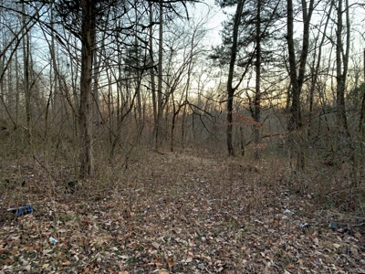 Small Acreage-Hunting-Fishing-Recreational-Liberty Kentucky - image 11