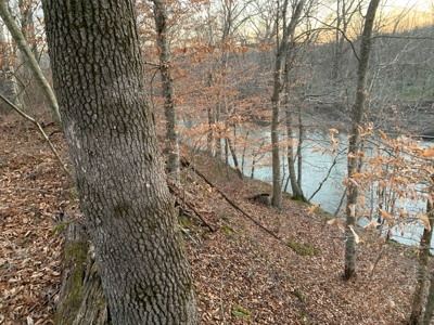 Small Acreage-Hunting-Fishing-Recreational-Liberty Kentucky - image 2