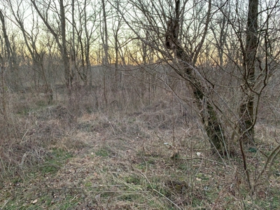 Small Acreage-Hunting-Fishing-Recreational-Liberty Kentucky - image 13