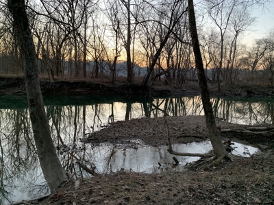 Small Acreage-Hunting-Fishing-Recreational-Liberty Kentucky - image 17