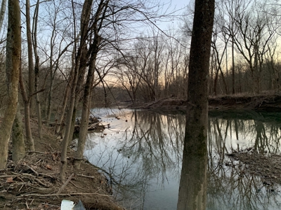Small Acreage-Hunting-Fishing-Recreational-Liberty Kentucky - image 19