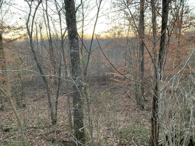 Small Acreage-Hunting-Fishing-Recreational-Liberty Kentucky - image 8