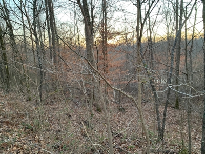 Small Acreage-Hunting-Fishing-Recreational-Liberty Kentucky - image 9