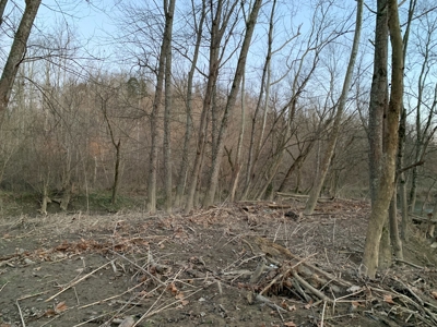 Small Acreage-Hunting-Fishing-Recreational-Liberty Kentucky - image 20