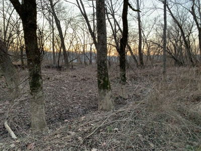 Small Acreage-Hunting-Fishing-Recreational-Liberty Kentucky - image 14