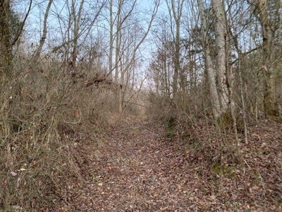 Small Acreage-Hunting-Fishing-Recreational-Liberty Kentucky - image 22