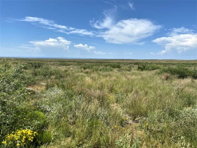 Ranch for Sale in Southeast NM between Artesia and Carlsbad - image 45
