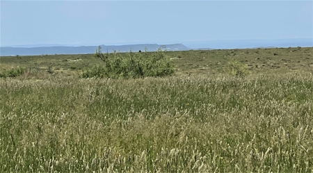 Ranch for Sale in Southeast NM between Artesia and Carlsbad - image 49