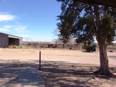 Ranch for Sale in Southeast NM between Artesia and Carlsbad - image 11