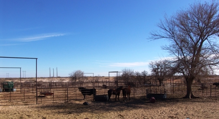 Ranch for Sale in Southeast NM between Artesia and Carlsbad - image 22