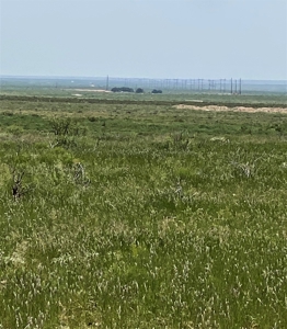 Ranch for Sale in Southeast NM between Artesia and Carlsbad - image 47