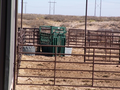 Ranch for Sale in Southeast NM between Artesia and Carlsbad - image 24