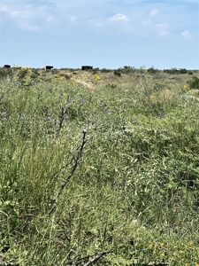 Ranch for Sale in Southeast NM between Artesia and Carlsbad - image 36