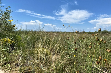 Ranch for Sale in Southeast NM between Artesia and Carlsbad - image 44