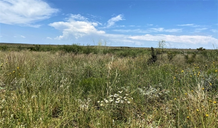 Ranch for Sale in Southeast NM between Artesia and Carlsbad - image 43