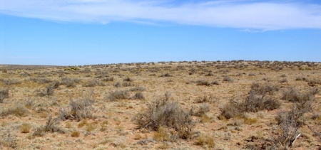 Ranch for Sale in Southeast NM between Artesia and Carlsbad - image 6