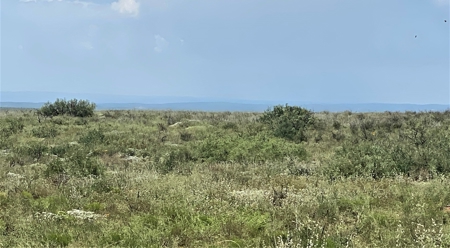 Ranch for Sale in Southeast NM between Artesia and Carlsbad - image 41
