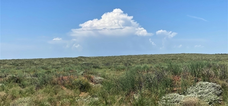 Ranch for Sale in Southeast NM between Artesia and Carlsbad - image 42