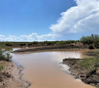 Ranch for Sale in Southeast NM between Artesia and Carlsbad - image 33
