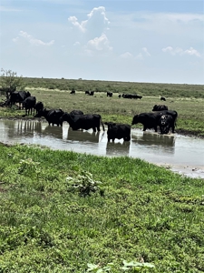 Ranch for Sale in Southeast NM between Artesia and Carlsbad - image 39