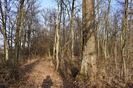 Southern Indiana Hunting and Camping Land - image 7
