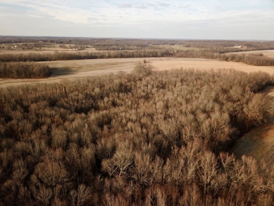 Southern Indiana Hunting and Camping Land - image 14
