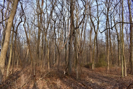 Southern Indiana Hunting and Camping Land - image 15
