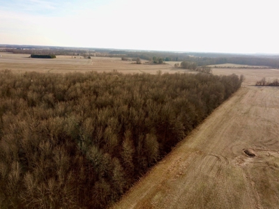 Southern Indiana Hunting and Camping Land - image 6