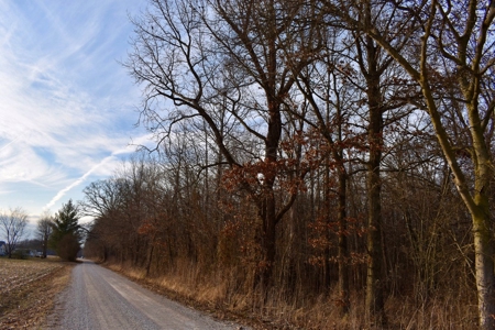 Southern Indiana Hunting and Camping Land - image 2