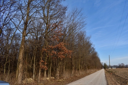 Southern Indiana Hunting and Camping Land - image 16