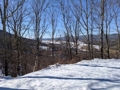 Hunting/Adjoin National Forest - Bland, VA - image 7