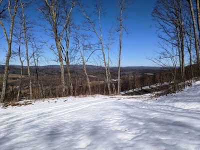 Hunting/Adjoin National Forest - Bland, VA - image 1