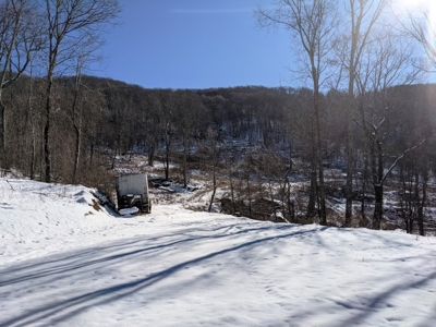 Hunting/Adjoin National Forest - Bland, VA - image 2