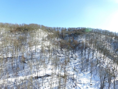Hunting/Adjoin National Forest - Bland, VA - image 13