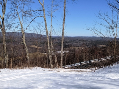 Hunting/Adjoin National Forest - Bland, VA - image 5