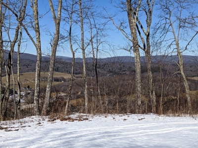 Hunting/Adjoin National Forest - Bland, VA - image 6