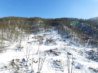 Hunting/Adjoin National Forest - Bland, VA - image 9