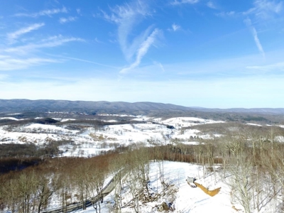 Hunting/Adjoin National Forest - Bland, VA - image 12