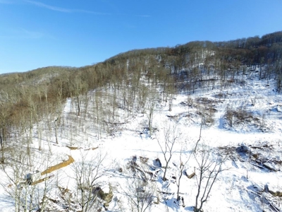 Hunting/Adjoin National Forest - Bland, VA - image 10